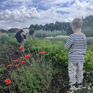 Oogstabonnement kind 2026