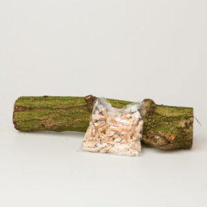 Workshop: Eetbaar Hout