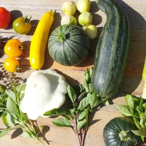 Oogstabonnement 2026