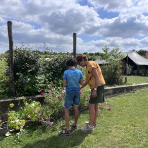 Zomerabonnement volwassene 2026