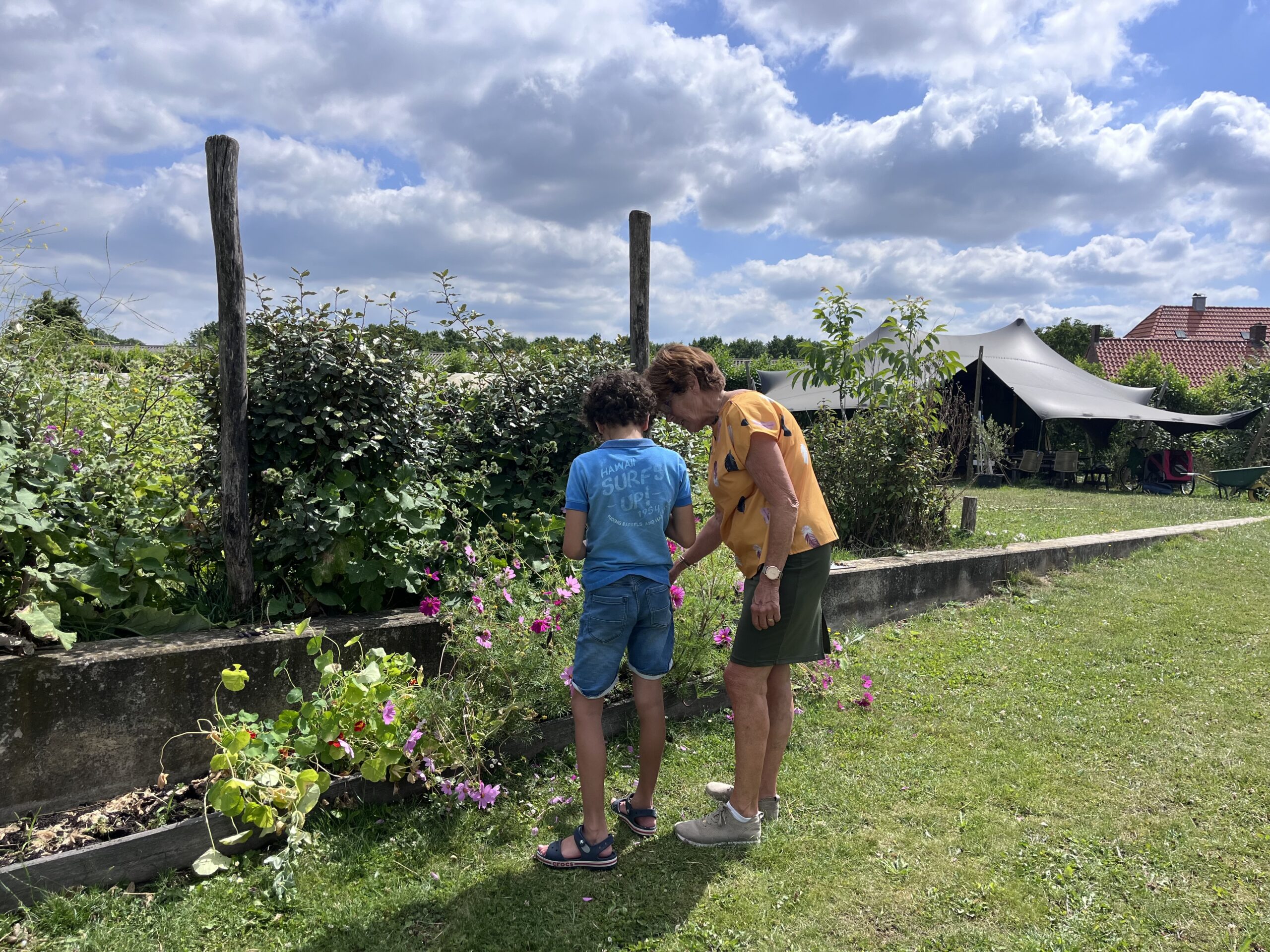 Zomerabonnement volwassene 2026